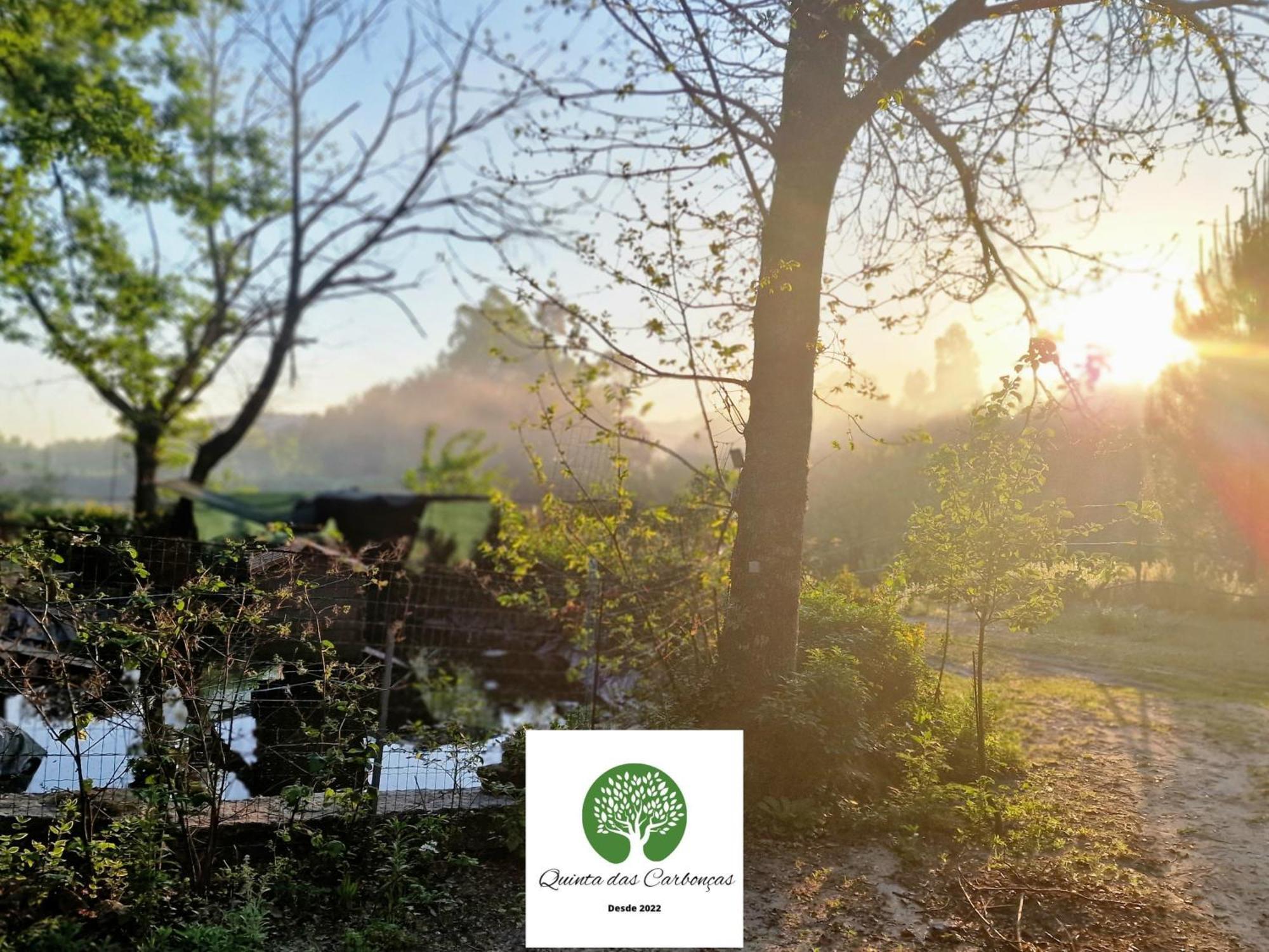 Quinta Das Carboncas 파페 외부 사진