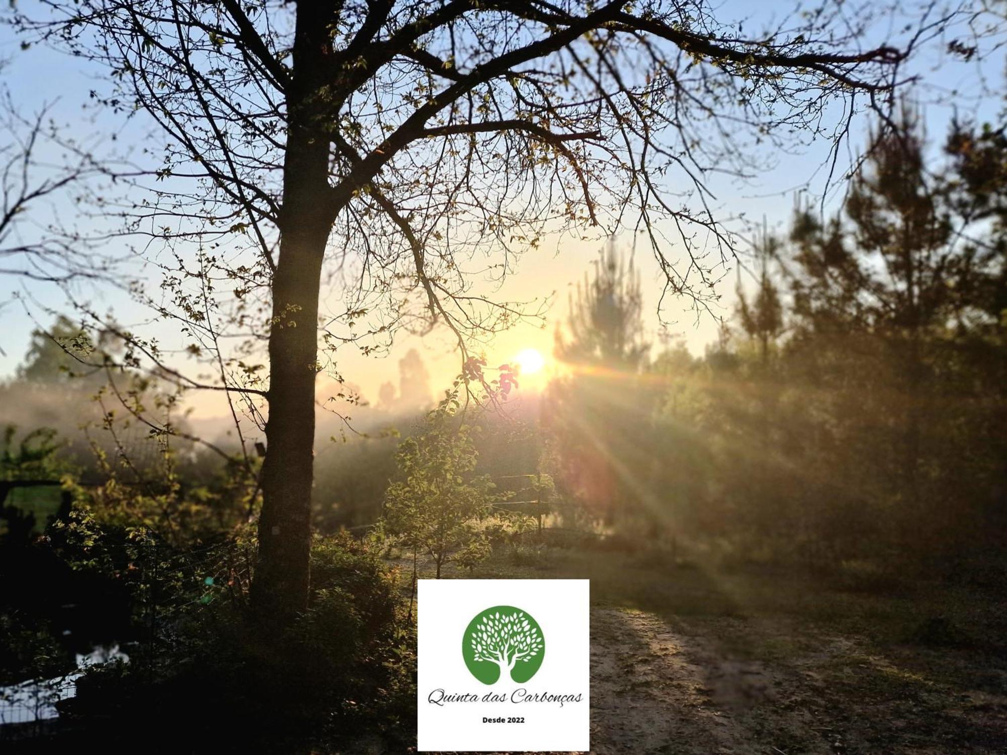 Quinta Das Carboncas 파페 외부 사진