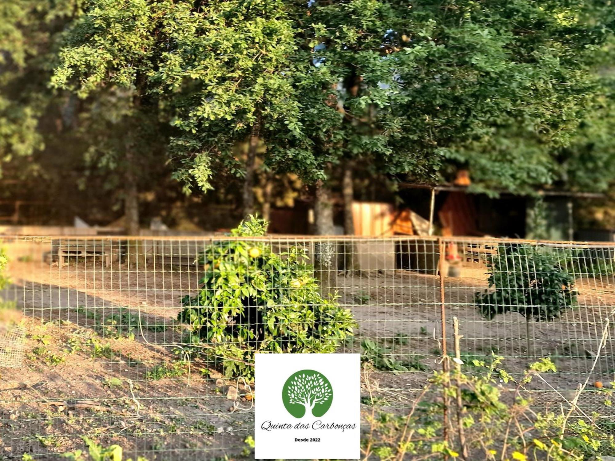 Quinta Das Carboncas 파페 외부 사진