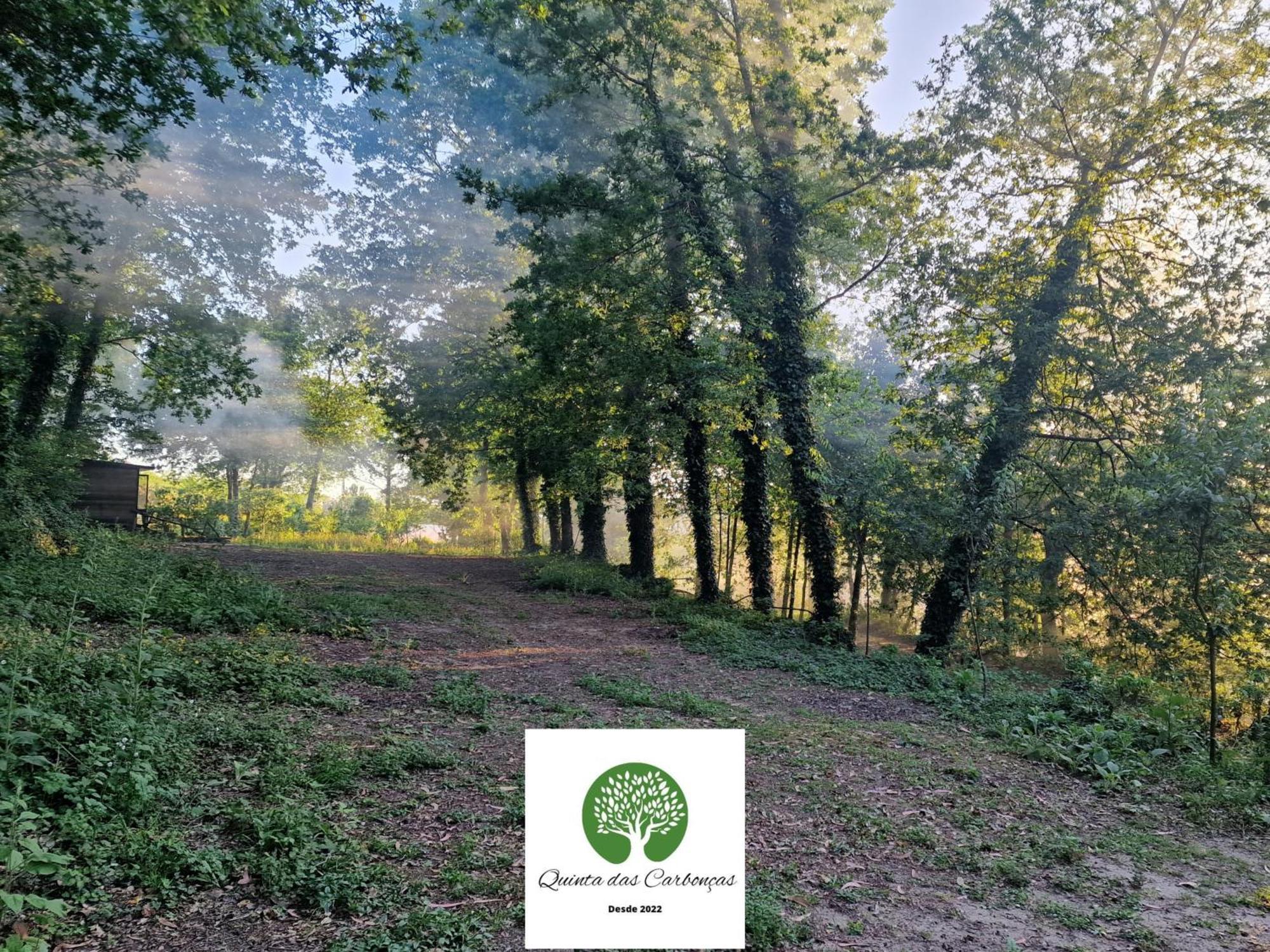 Quinta Das Carboncas 파페 외부 사진